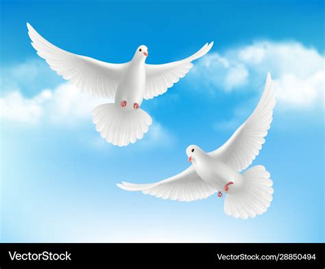 Bird In Clouds Flying White Pigeons In Blue Sky Vector Image