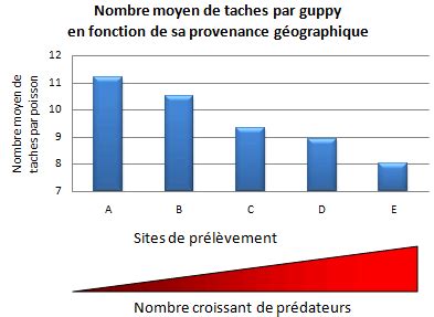 Voir les fiches méthodes correspondantes : Bac ES 2007 - Amérique du Sud - SVT - Académie de Besançon