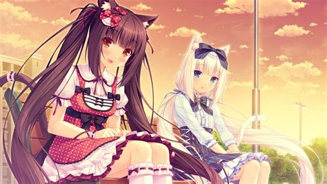 Cat Girl Two Women Red Eyes Blue Eyes Brunette Long Hair Sitting