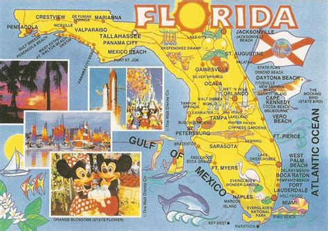 florida postcard | Map of florida, Florida state map, Florida