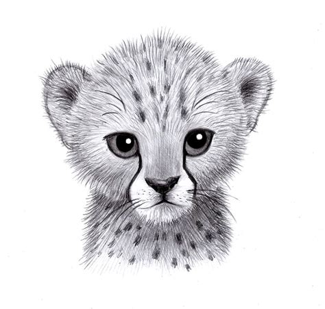 Most have a free template too! Baby Cheetah by zdrer456 on DeviantArt