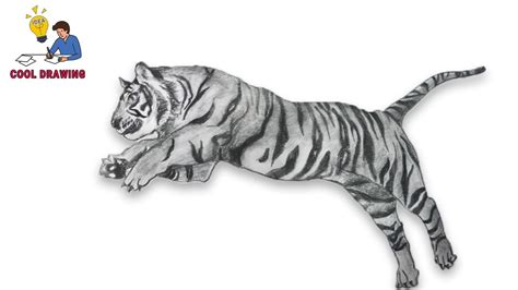Share Tiger Sketch Super Hot In Eteachers