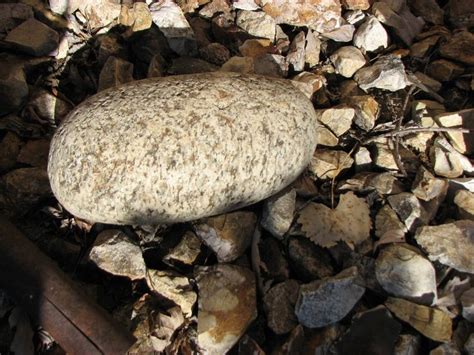 A Big Shinny Egg Shape Rock Egg Shape Shapes Pebbles