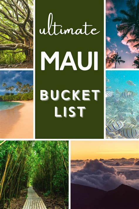 Check Out The Best Maui Activities Chasing Waterfalls Hiking In A