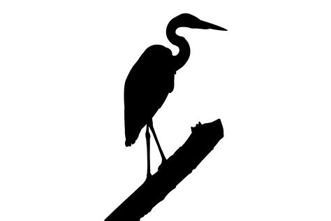 Stork Silhouette Graphic By Illustrately · Creative Fabrica