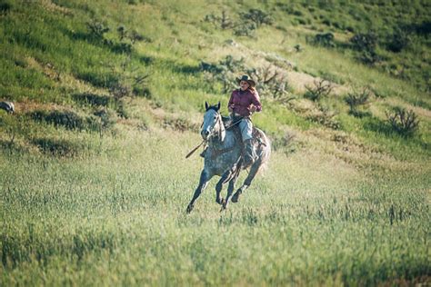 Cowgirls Riding Horses In Nature Stock Photo Download Image Now 20