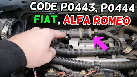 Fiat Alfa Romeo Code P0443 P0444 Purge Valve Evap System Youtube