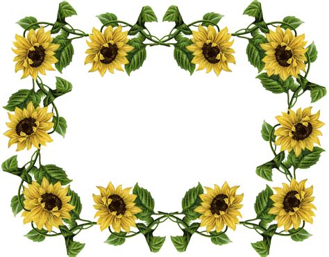 Sunflower Pics Frame Sunflowers Pinterest