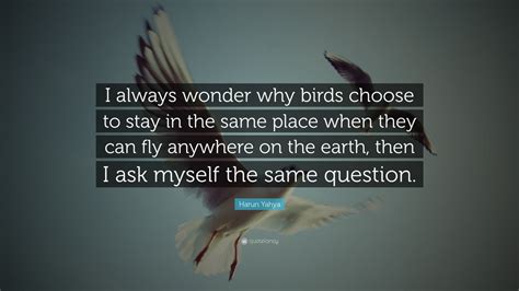 I always wonder why birds choose to stay. Harun Yahya Quote: "I always wonder why birds choose to ...
