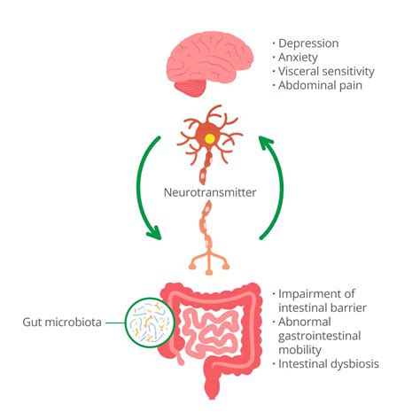 Happy Mind Happy Gut Understanding The Brain Gut Axis And Ibs Starmed