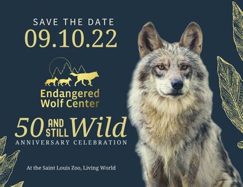 The Endangered Wolf Center Celebrates Its 50th Anniversary