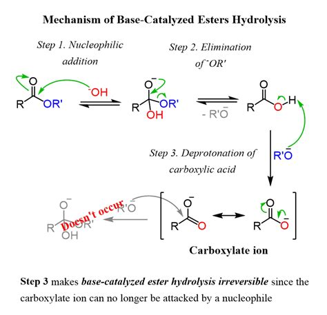 Simple Hydrolysis Reaction