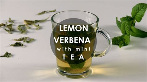 How To Make Lemon Verbena Mint Tea Youtube