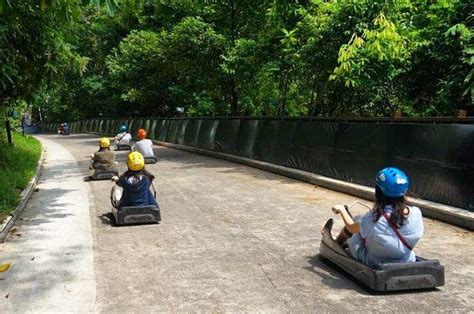 Ride A Luge At Skyline Luge Sentosa Sentosa Island Singapore Gokayu