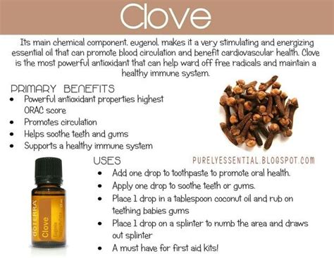 Find out what clove essential oil from doterra can do to help you improve your health. Clove benefits and uses | Essential oil blends, Essential ...