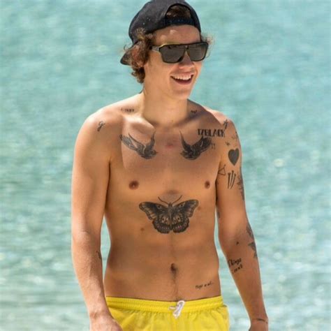 Harry Styles Just Confirmed That He Has Four Nipples Her Campus