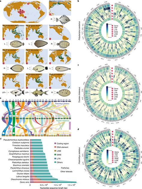 Genome Assembly And Gene Annotation Of Ten Species A Geographical