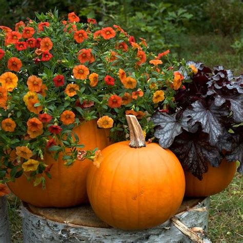 Pumpkin Planters Or Jack O Planterns Make Great Fall Decorations Fall