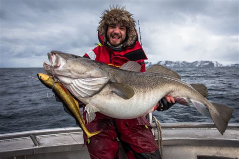 Norway Fishing Report And Tackle List Sportquest