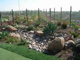 Xeriscape Landscapers In San Diego Photos