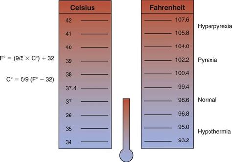 The Four Types Of Temperature Scales Zohal