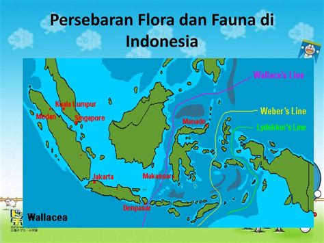 Contoh Peta Persebaran Flora Dan Fauna Di Indonesia Berbagai Contoh