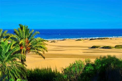 Las 10 Playas Más Bonitas De Gran Canaria Para Visitar ️todo Sobre