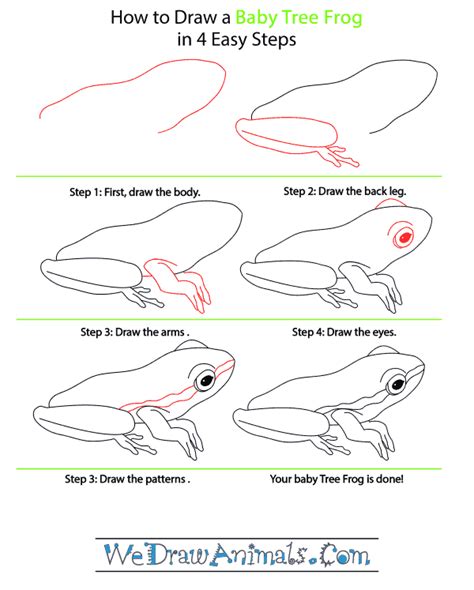 How To Draw A Baby Tree Frog