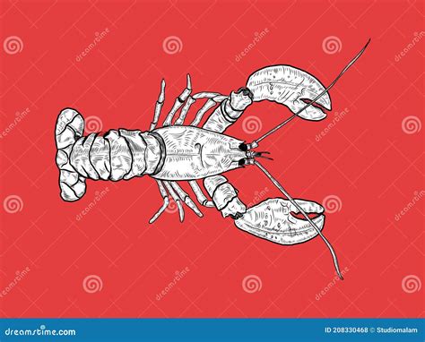 Lobster Line Art Isolated Illustration In Vector Stock Vector