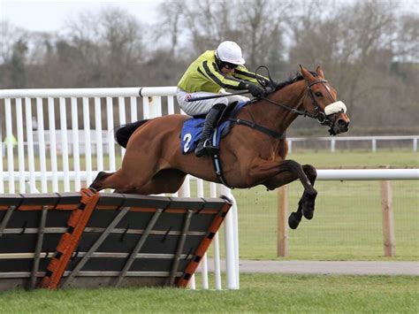Stratford Specialists Trained In Locally Could Be Horses To Follow Next