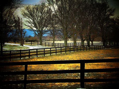 Fence And Trees Photograph By Michael L Kimble