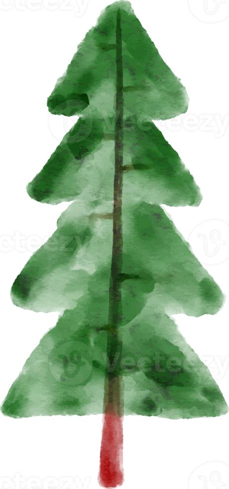 Christmas Watercolor Spruce Tree 12521512 Png
