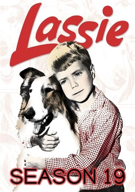 Lassie Season 19 Watch Full Episodes Streaming Online