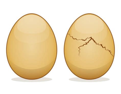 Best Broken Egg Shell Clip Art Illustrations Royalty Free Vector
