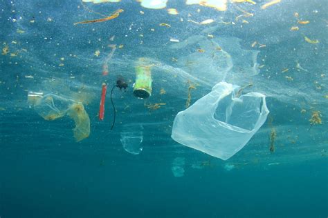 Plastique Dans La Mer Une Pollution Qui Impacte Tout Le Monde