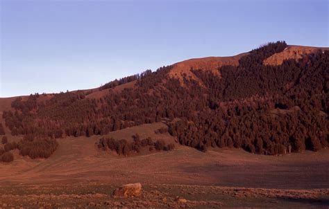 Specimen Ridge 2002 Yellowstone Insider