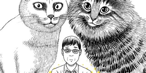 11 Best Junji Ito Manga Books And Short Stories Books And Bao