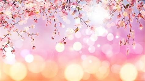 3d Render Of Cherry Blossom On Bokeh Lights Background Photo Gratuite