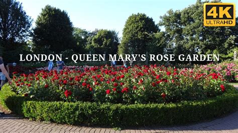 London Queen Marys Rose Garden In Regent Park 4k Uhd Youtube