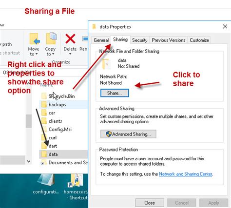 Windows File Sharing Basics