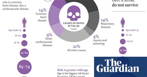 Stroke Everything You Need To Know Infographics Science The Guardian