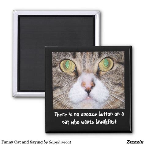 Funny Cat And Saying Magnet Funny Cats Custom Cat Cat