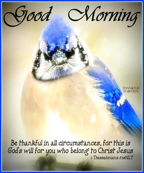 Religious Good Morning Quote About Being Thankful Pictures Photos And