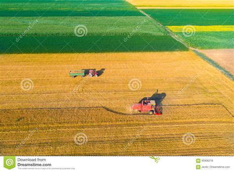 Aerial Image Of Harvest In Wheat Field Stock Photo Image Of Industry