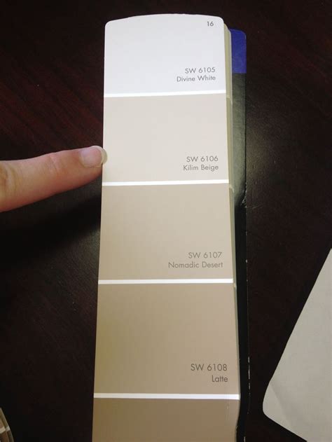 Sherwin Williams Kilim Beige Ryan Homes Tip The Best Color To Paint