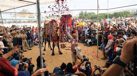 Usually in november, depending on the cycle of the moon. Camel Decoration Competition at Pushkar Camels Fair ...