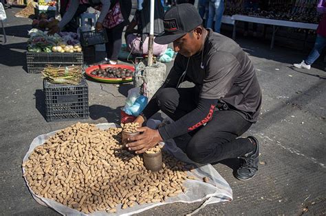 El Cacahuate La Botana Que Sostiene A Muchas Familias Guerrerenses