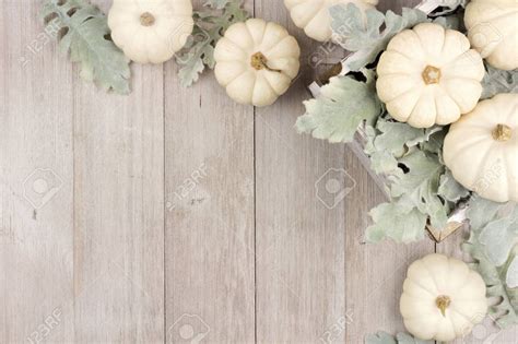 Autumn Corner Border Of White Pumpkins And Silver Leaves Over