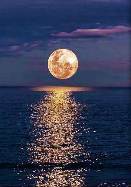 Full Moon ⭐🌝⭐ Paysage Lune Paysage Nuit Photographie De Paysages