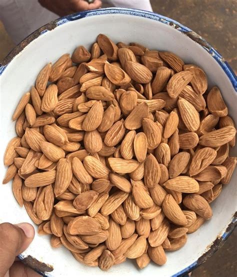 Mamra Badam Packaging Size 10 Kg Rs 1900 Kg 3d Masale Id 22498414933